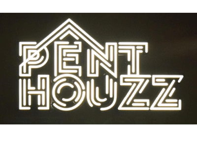 Pent Houzz